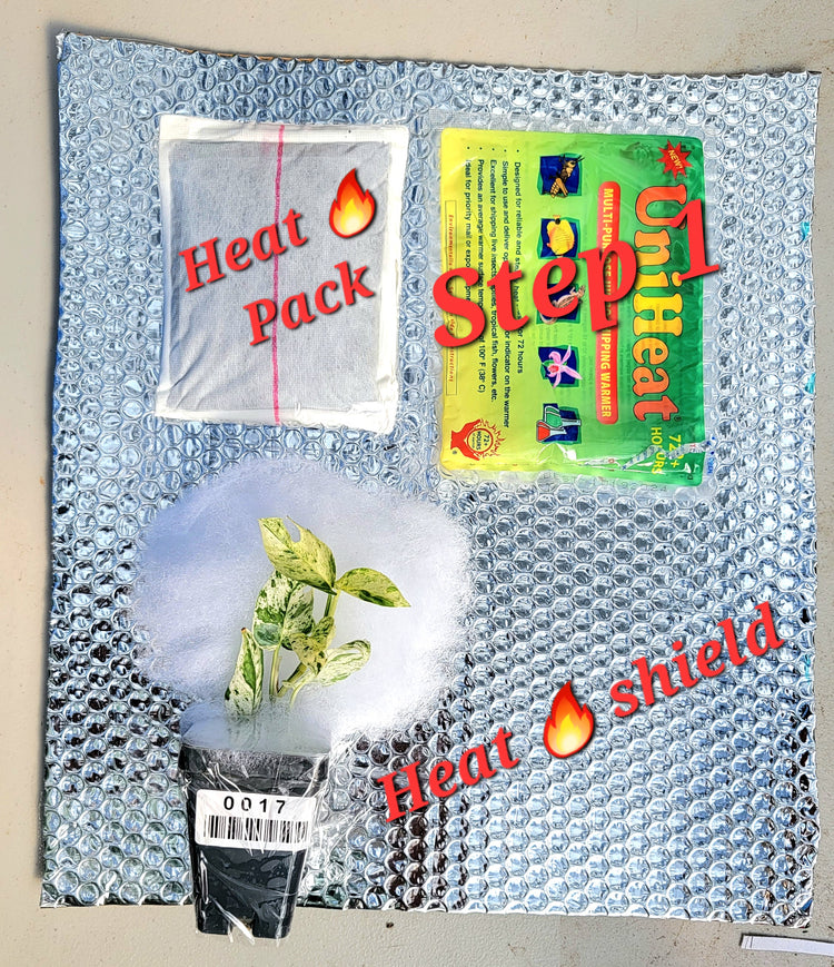 Heat Pack PlantMadness